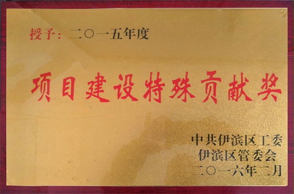項目建設特殊貢獻獎